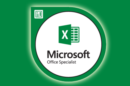 Microsoft Office Specialist Excel 2016